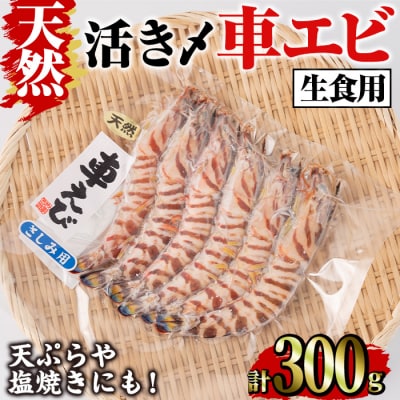 天然 活き〆車エビ 生食用 (300g)  
