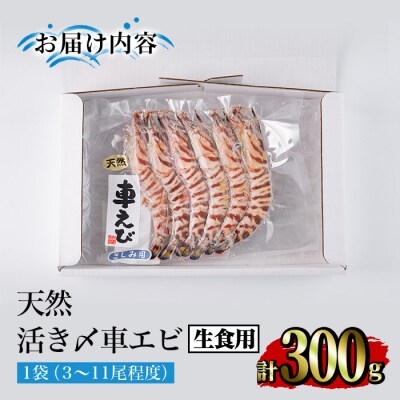 天然 活き〆車エビ 生食用 (300g)  