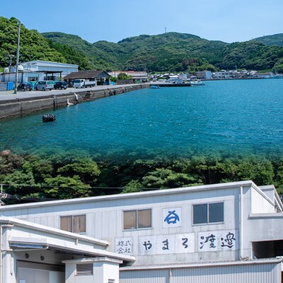 中骨なし開き3種詰め合わせ(16尾・3種) 