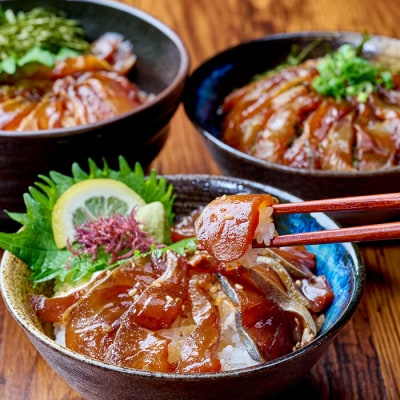 漬け丼 5種セット (計10食分・2食入×5種) 