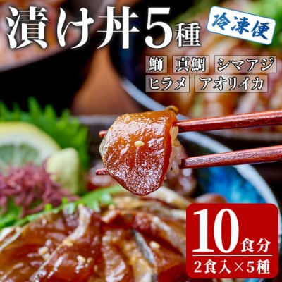 漬け丼 5種セット (計10食分・2食入×5種) 