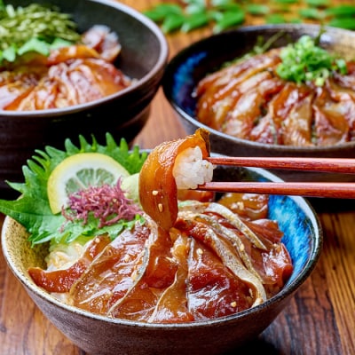 漬け丼 5種セット (計10食分・2食入×5種) 