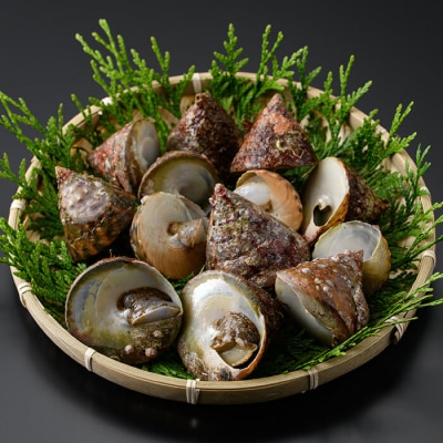 陣笠にな (約1kg)