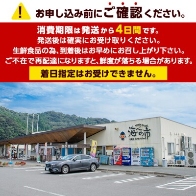 <期間限定>大分県産 伊勢海老 (計1kg・約2～5尾)