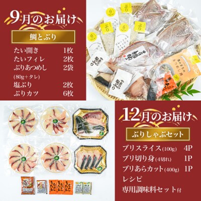 <定期便・全5回>職人直送 干物 定期便 (該当月お届け) 