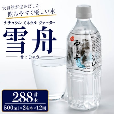 ナチュラル ミネラル ウォーター 雪舟 500ml (計288本) 
