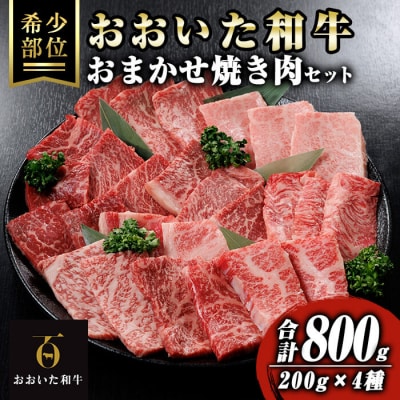 おおいた和牛 おまかせ 焼き肉 セット (合計800g:200g×4種) 
