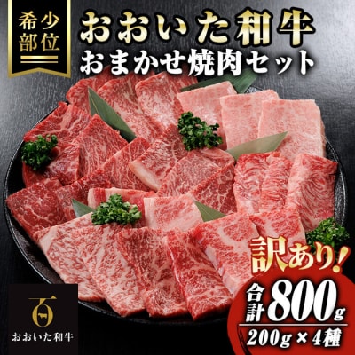 <訳あり> おおいた和牛 おまかせ 焼肉 セット (合計800g:200g×4種) 