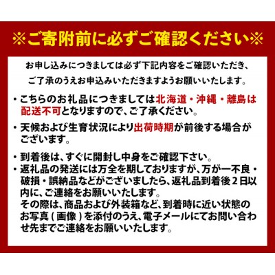 <定期便> 大分県産 旬のフルーツ定期便 (全4回・総量9kg) 