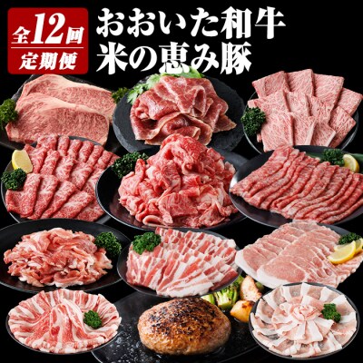 おおいた和牛 米の恵み豚 定期便 (全12回) 