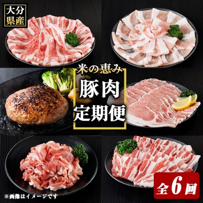 米の恵み豚 定期便 (全6回) 