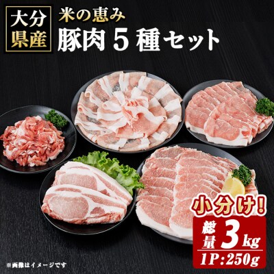 米の恵み 豚肉 5種 セット(総量3kg)