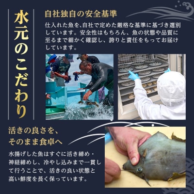 <先行予約受付中!2026年11月より発送予定>大分県産 美人鰤 フィレ (1枚)