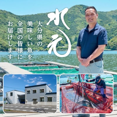 <先行予約受付中!2026年11月より発送予定> 大分県産 美人鰤 フィレ (2枚)