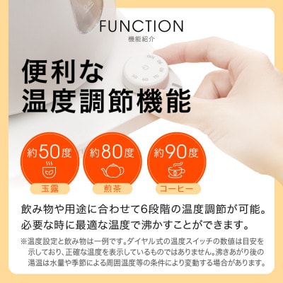 タイガー魔法瓶 温度調節機能つき蒸気レス電気ケトル PTV-A120HC チェスナッツグレー1.2L