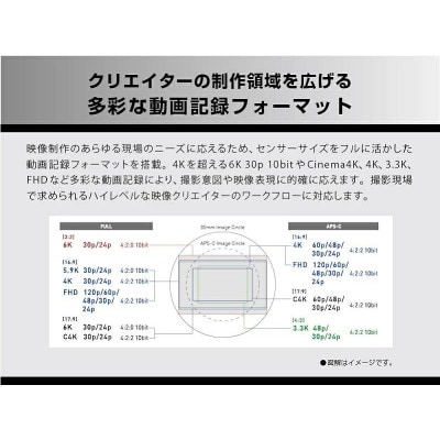 パナソニック フルサイズミラーレス一眼カメラ ルミックス DC-S5M2K