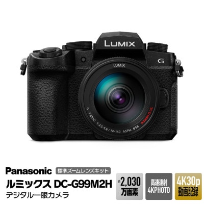 パナソニック デジタルカメラ ルミックス DC-G99M2H
