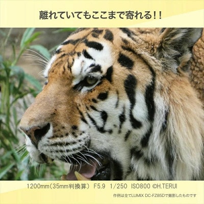 パナソニック コンパクトデジタルカメラ ルミックス DC-FZ85D-K