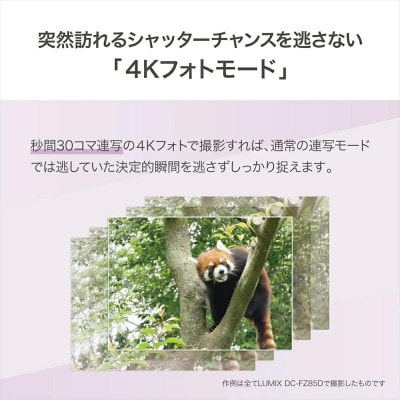 パナソニック コンパクトデジタルカメラ ルミックス DC-FZ85D-K