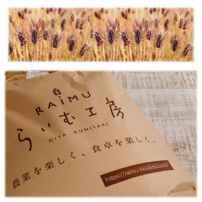 食物繊維を定期的に!お米5kgとむらさきもち麦3ヶ月定期便/計3回発送_2103R
