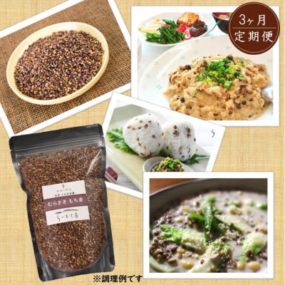 食物繊維を定期的に!お米5kgとむらさきもち麦3ヶ月定期便/計3回発送_2103R