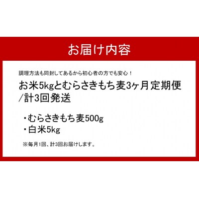 食物繊維を定期的に!お米5kgとむらさきもち麦3ヶ月定期便/計3回発送_2103R