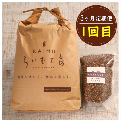 食物繊維を定期的に!お米5kgともち麦製品の3ヶ月定期便/計3回発送_2094R