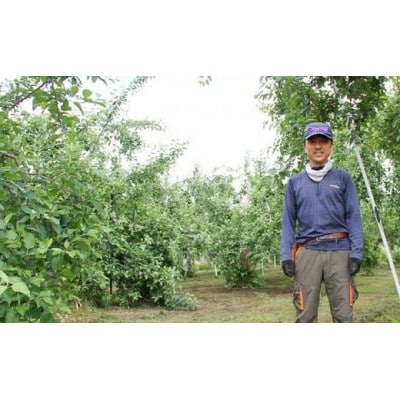 【訳あり】 サンふじ 約5kg(10～23玉)