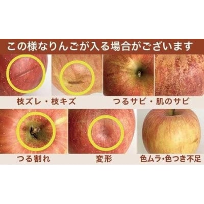 [訳あり] 旬のりんご 約3kg 6～14玉