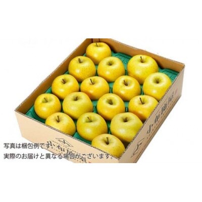 【2026年発送】シナノゴールド 約5kg 10～18玉