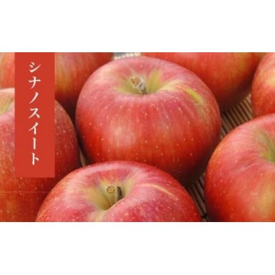 【2026年発送】シナノスイート 約5kg 10～18玉