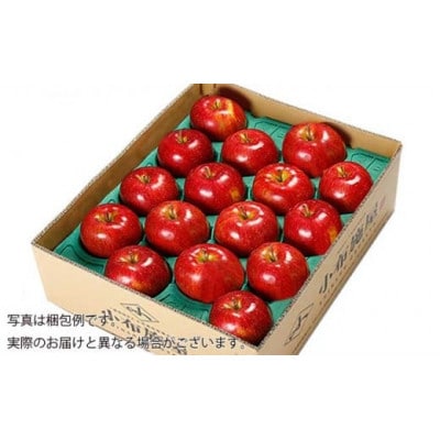 【2026年発送】シナノスイート 約5kg 10～18玉