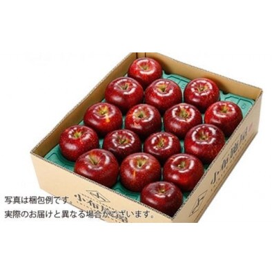 【2026年発送】秋映 約5kg 10～18玉