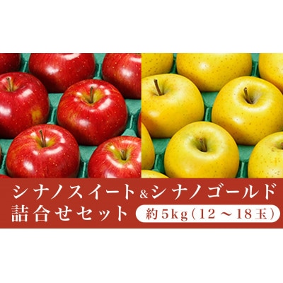 【2026年発送】長野県りんごの味比べ 約5kg 12～18玉 シナノスイート シナノゴールド