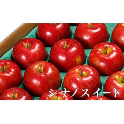 【2026年発送】長野県りんごの味比べ 約5kg 12～18玉 シナノスイート シナノゴールド