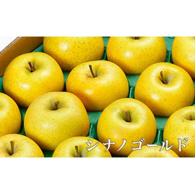 【2026年発送】長野県りんごの味比べ 約5kg 12～18玉 シナノスイート シナノゴールド