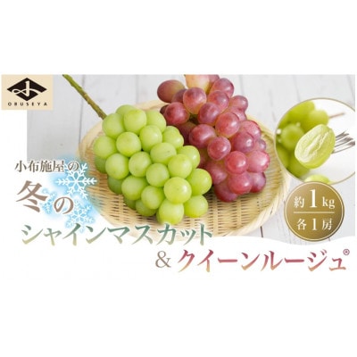 冬のシャインマスカット&クイーンルージュ(R) 約1kg 各1房
