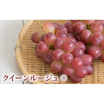 冬のシャインマスカット&クイーンルージュ(R) 約1kg 各1房