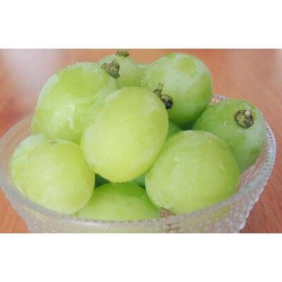 蔵出し冬のシャインマスカット 約600g 1房