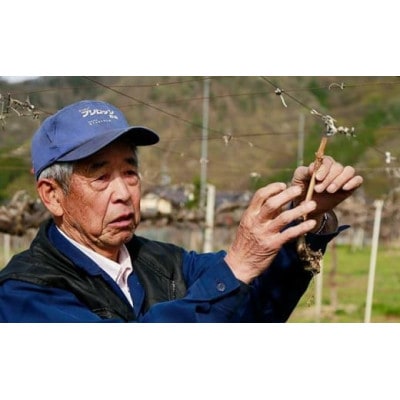 厳選プレミアム 大房 蔵出し冬のシャインマスカット 1房 約760g以上