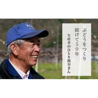 蔵出し冬のシャインマスカット 約1kg 2房