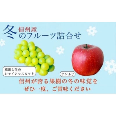 蔵出し冬のシャインマスカット1房とふじりんご2玉のセット 計約1.3kg