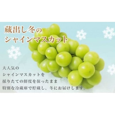 蔵出し冬のシャインマスカット1房とふじりんご2玉のセット 計約1.3kg