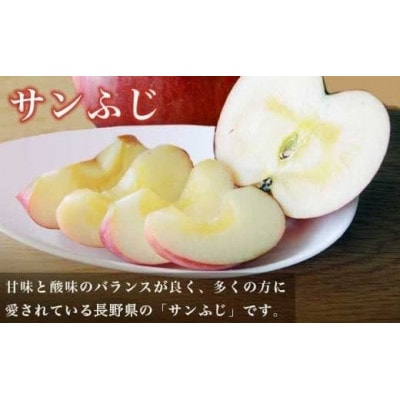 蔵出し冬のシャインマスカット1房とふじりんご2玉のセット 計約1.3kg