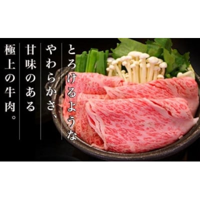 信州牛 黒毛和牛 すき焼き用 肩ロース 約550g 3～4人前[C-502]