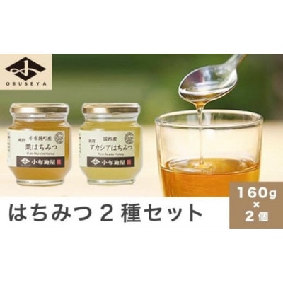 国産 はちみつセット ( 栗・りんご ) 160g × 2種