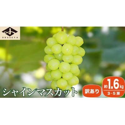 【2026年発送】【訳あり】シャインマスカット 約1.6kg 3～5房 [A-217]