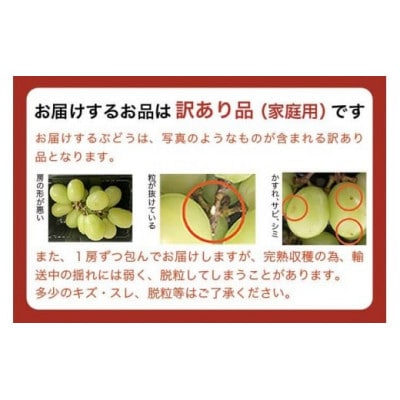 【2026年発送】【訳あり】シャインマスカット 約1.6kg 3～5房 [A-217]