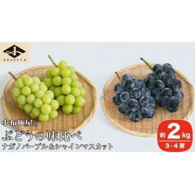 【2026年発送】高級ぶどう味比べ詰合せ ナガノパープル & シャインマスカット 約2kg 3～4房