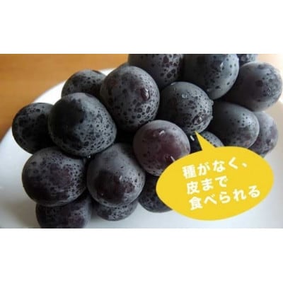 【2026年発送】高級ぶどう味比べ詰合せ ナガノパープル & シャインマスカット 約2kg 3～4房